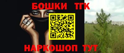 индика Гусиноозёрск