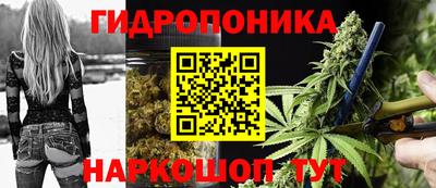 тгк Гусев
