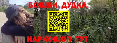 индика Гусиноозёрск