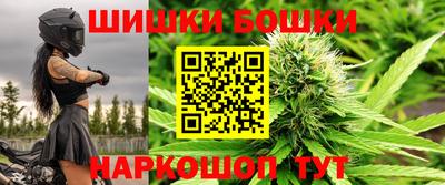 индика Гусиноозёрск
