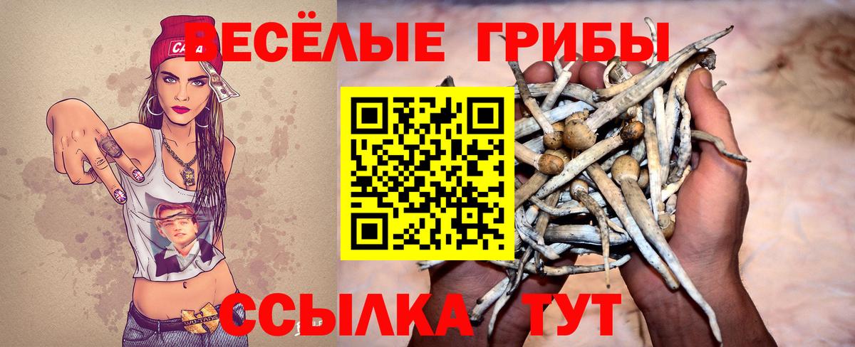 Галлюциногенные грибы ЛСД  Вход с VPN  Магадан 